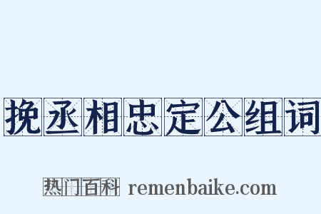 挽丞相忠定公组词是什么意思的图片